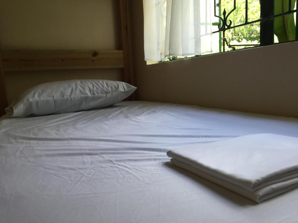 Backpackers Hostel photo