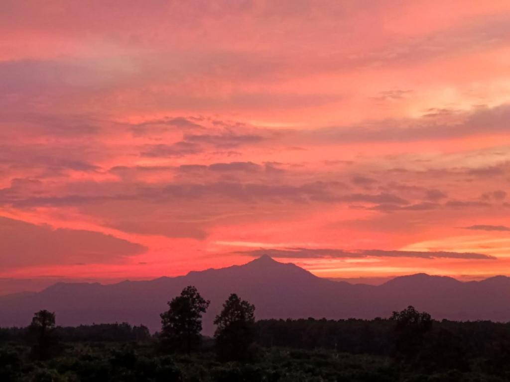 Napahong Treehouse นาป่าฮง, Ban Pa Ha