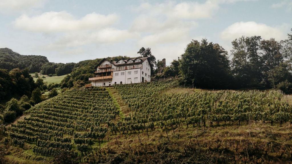 THE HUS am Weinberg, Flums