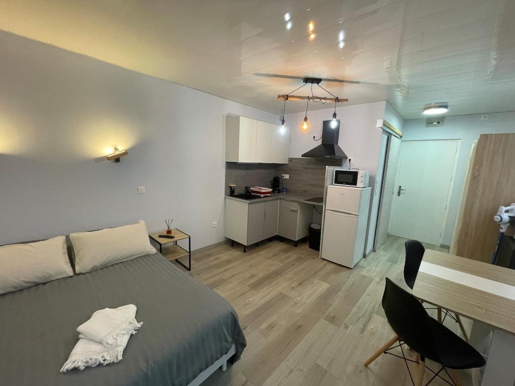 Le nid des sources studio, Bourbonne-les-Bains