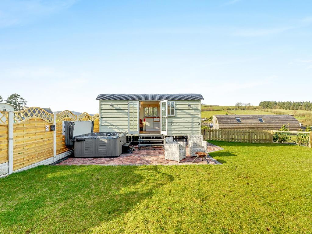 Sunflower - Uk42360, Saint Harmon