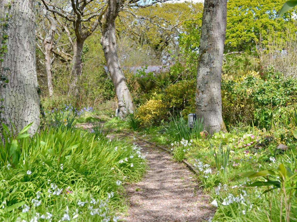 Oaktree Cottage photo 7