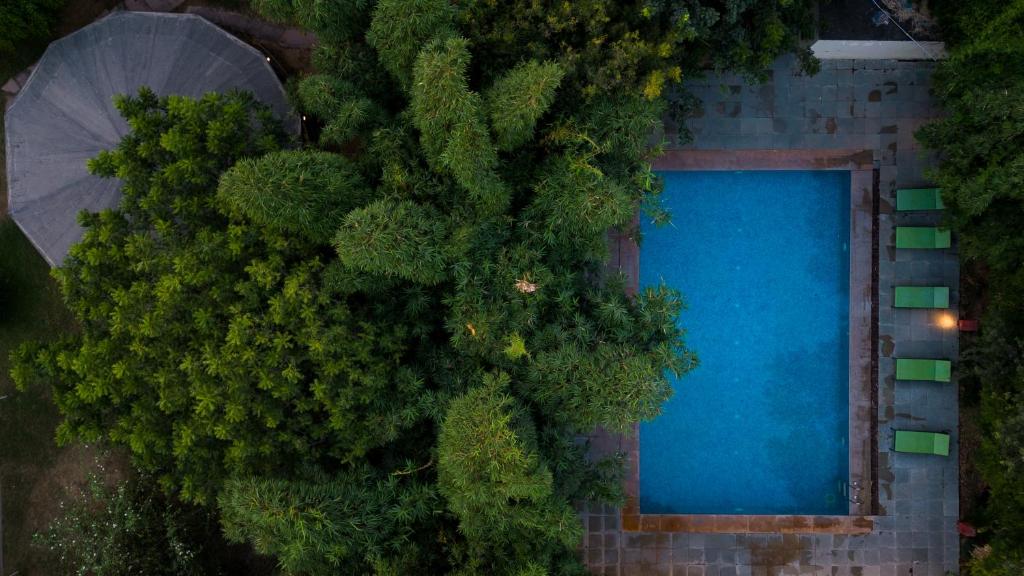 スイミングプール