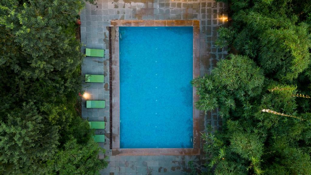 スイミングプール