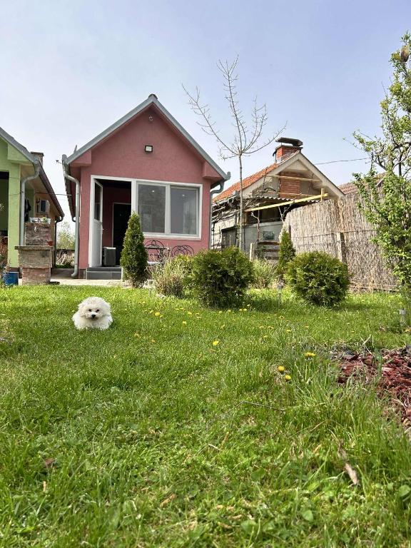 Vikendica Aurora, Šabac