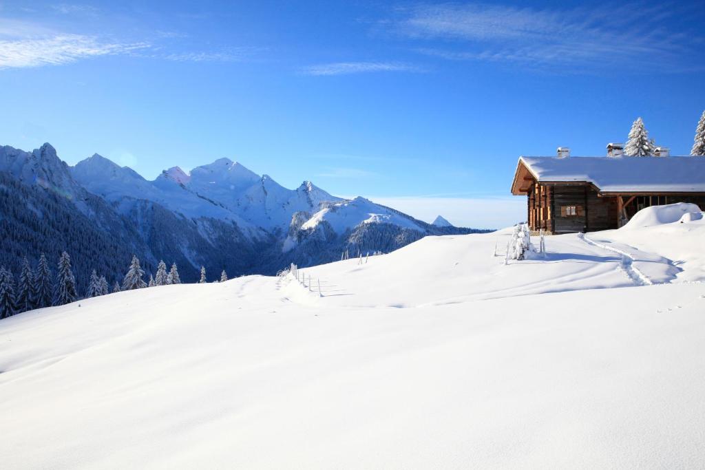 Chalet La Trafolée - 3