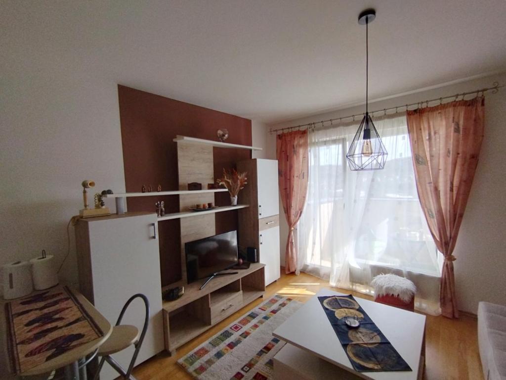 Studio - Bee Happy, Sarajevo