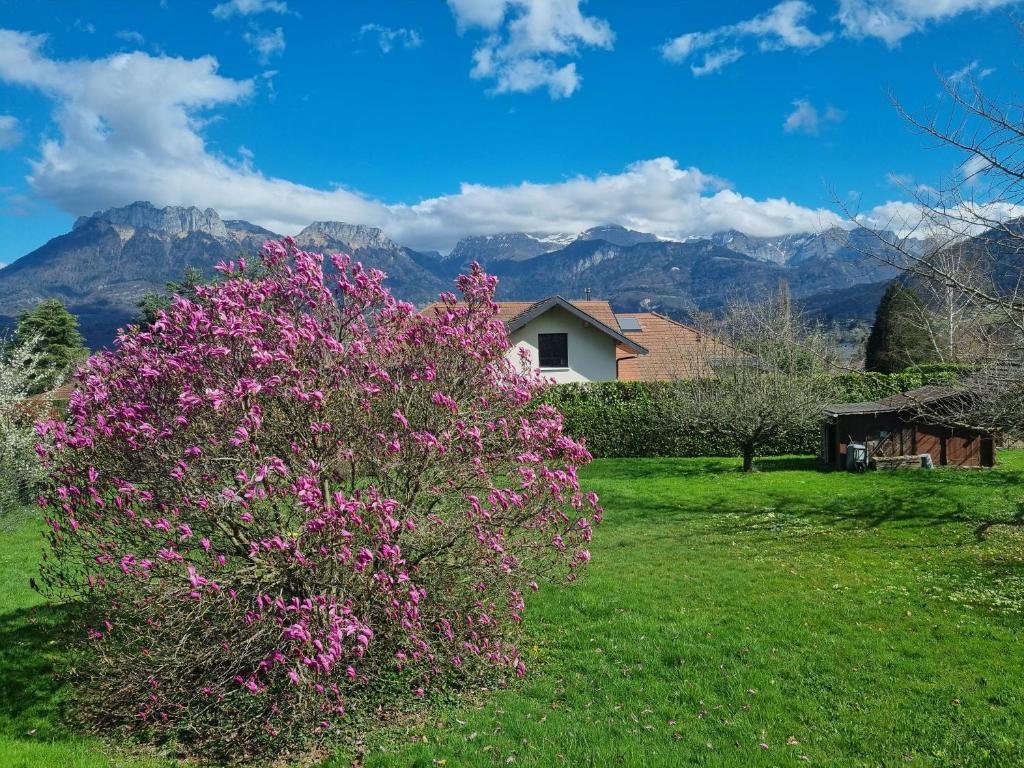Villa Pierrette - Quiet house with garden - 2