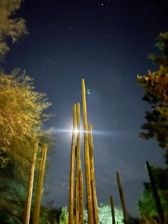 Pegaso Ranch - 4