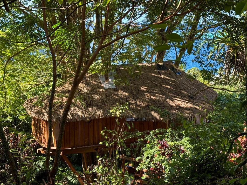 Raiatea Treelodge, Taoru