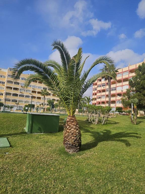 Mar Y Sol Relax, Torrevieja