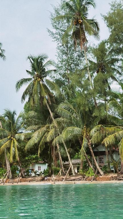 Surrounding environment