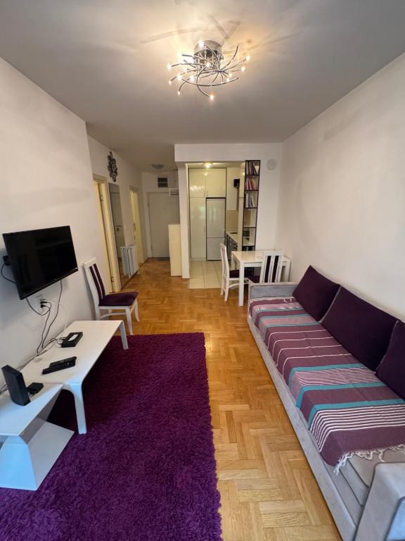 Purple apartment, Bělehrad