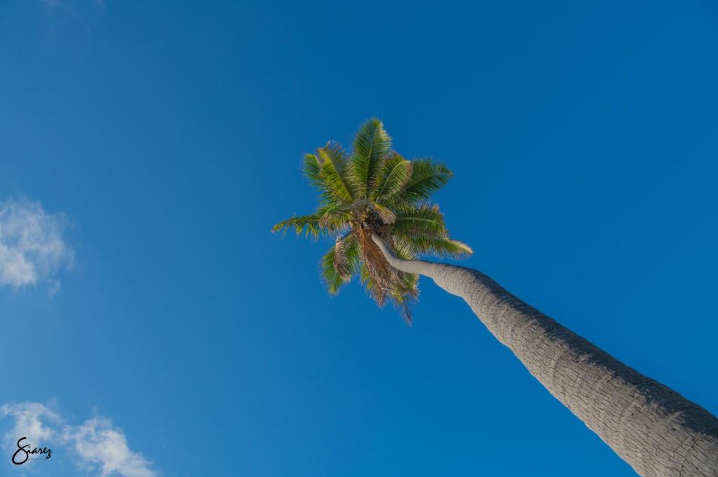 Surrounding environment