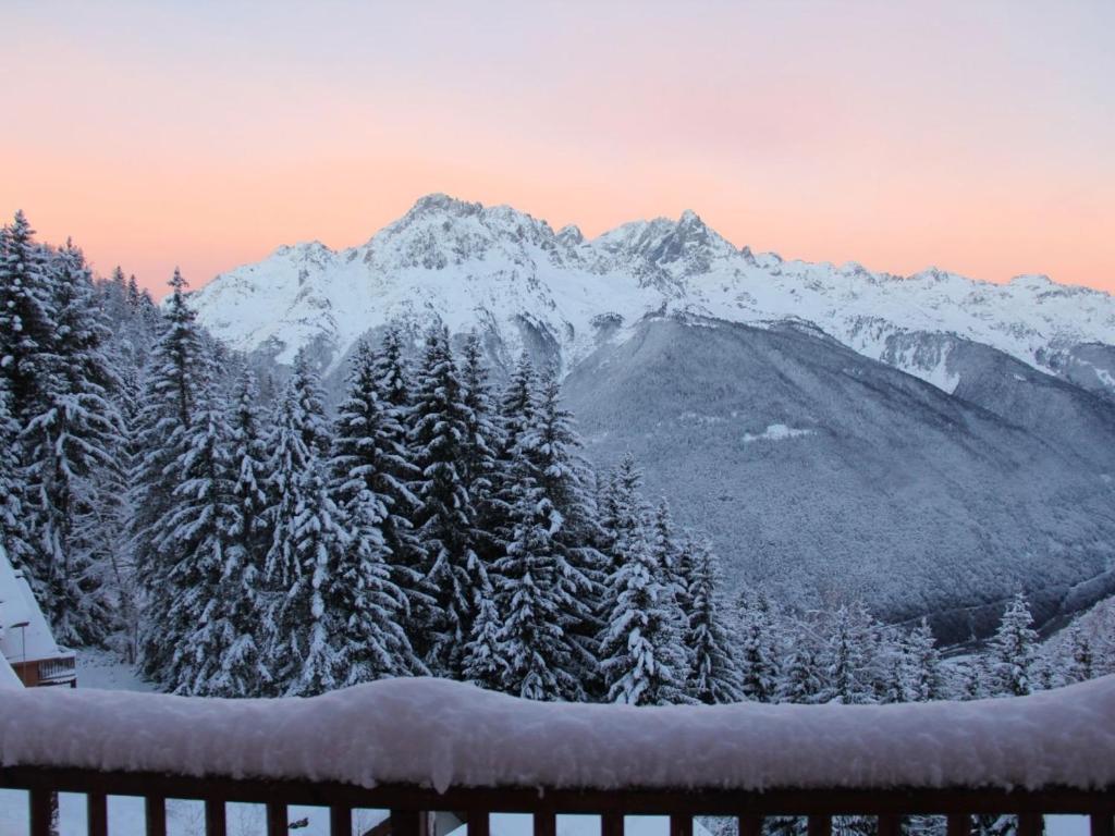 Chalet Oz ski-in ski-out - 2