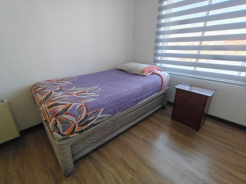 Espléndido departamento en Providencia - 2