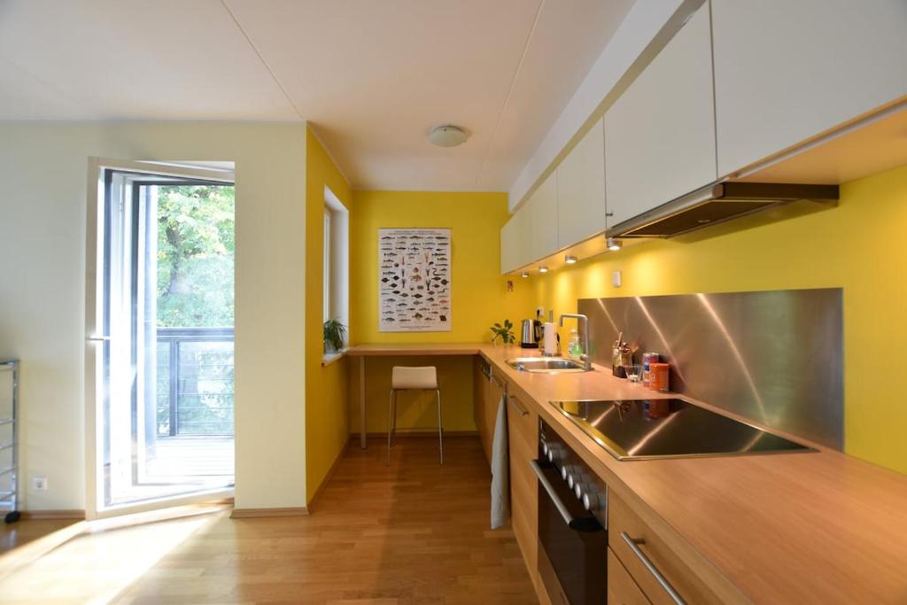 Lovely & spacious central apartment with sauna, Tallinn
