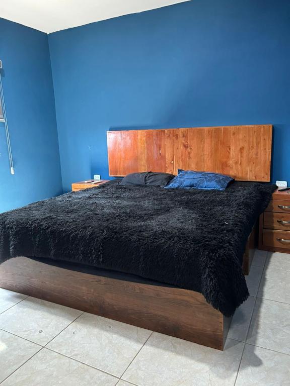 Casa completa, Mazatlán