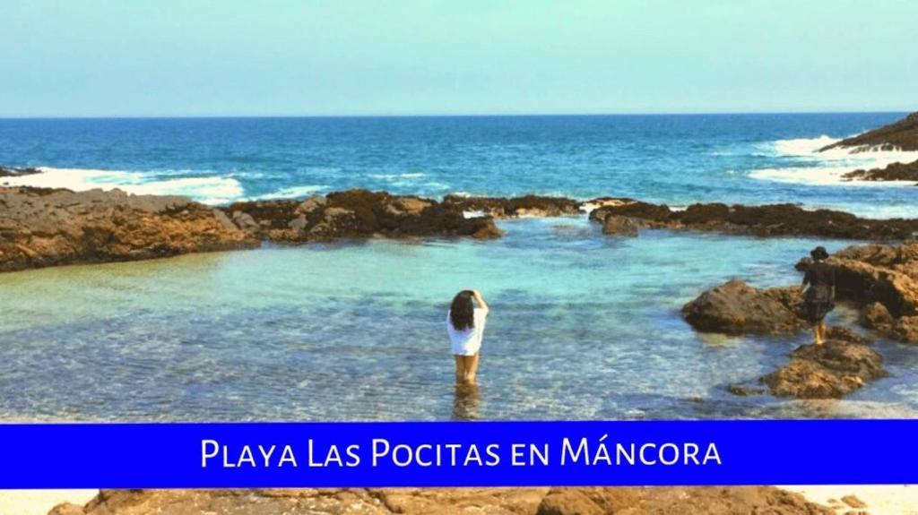 modern loft facing the sea - 3