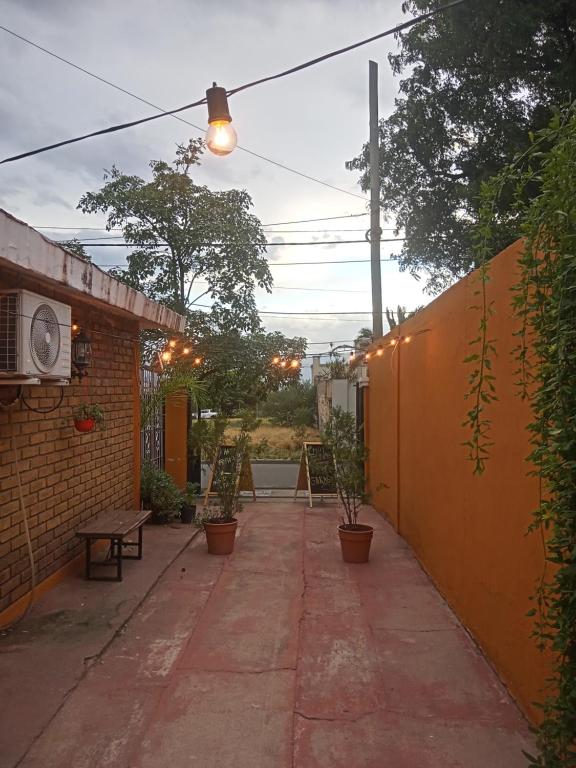 Alojamiento EL CEDRO 1 - 4