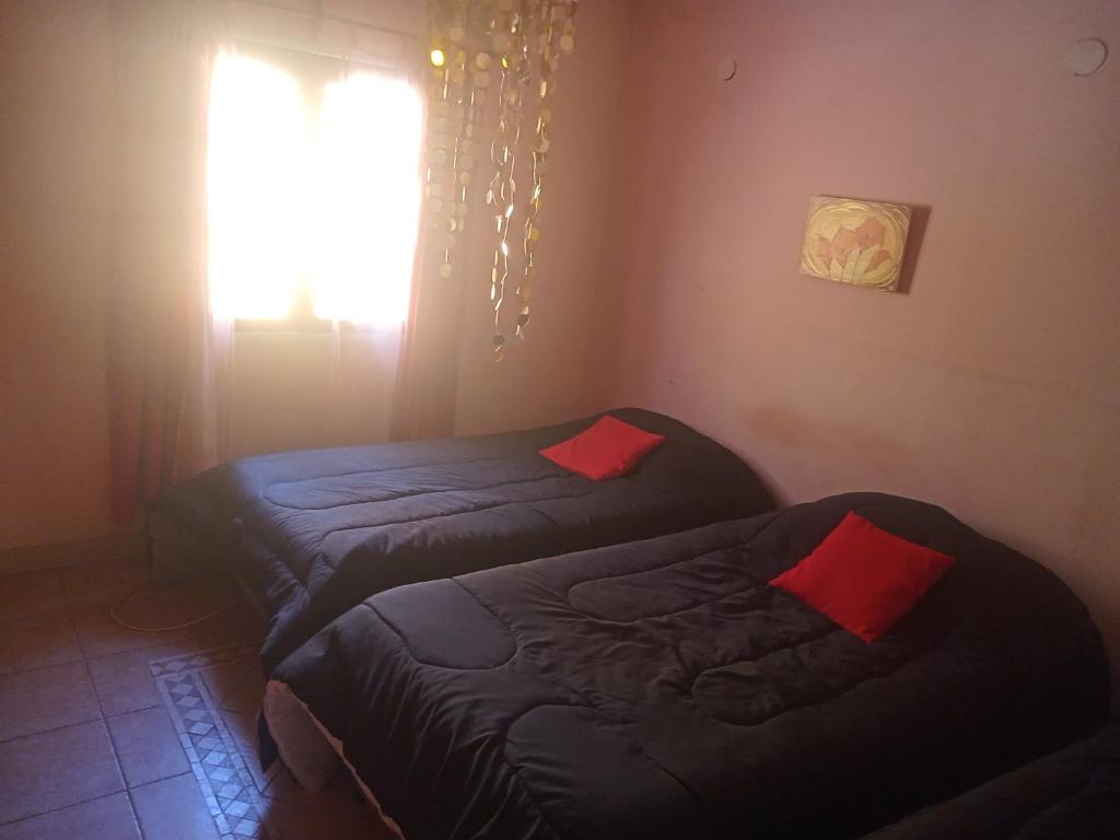 Alojamiento EL CEDRO 1 - 5