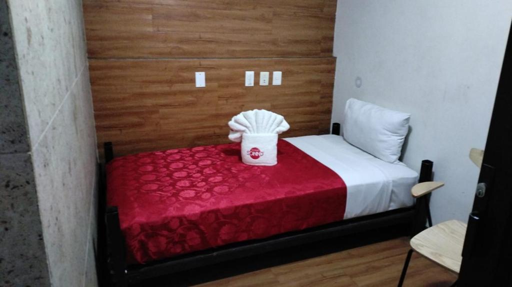 Hotel Sonno Plaza Allende - 3