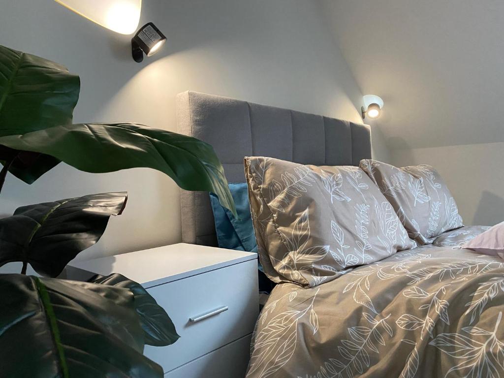 The Cottontail - Modern Private Room With Breakfast - Tamworth, Tamworth