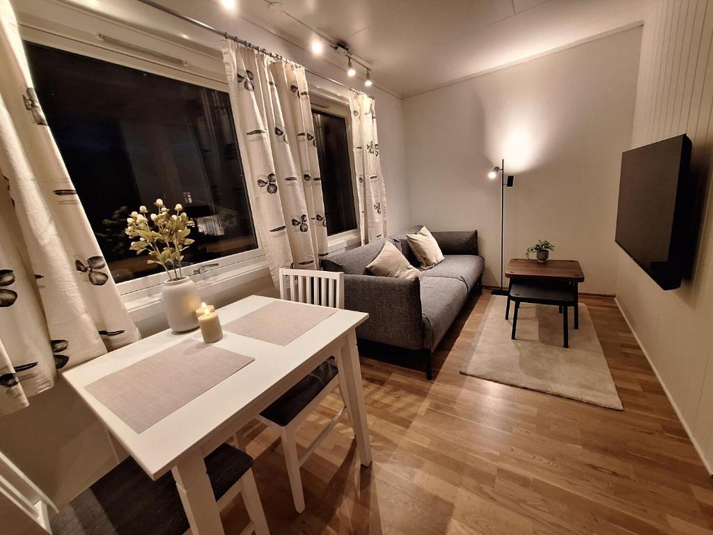 Central and comfortable apartment in Tromsø, Tromsø