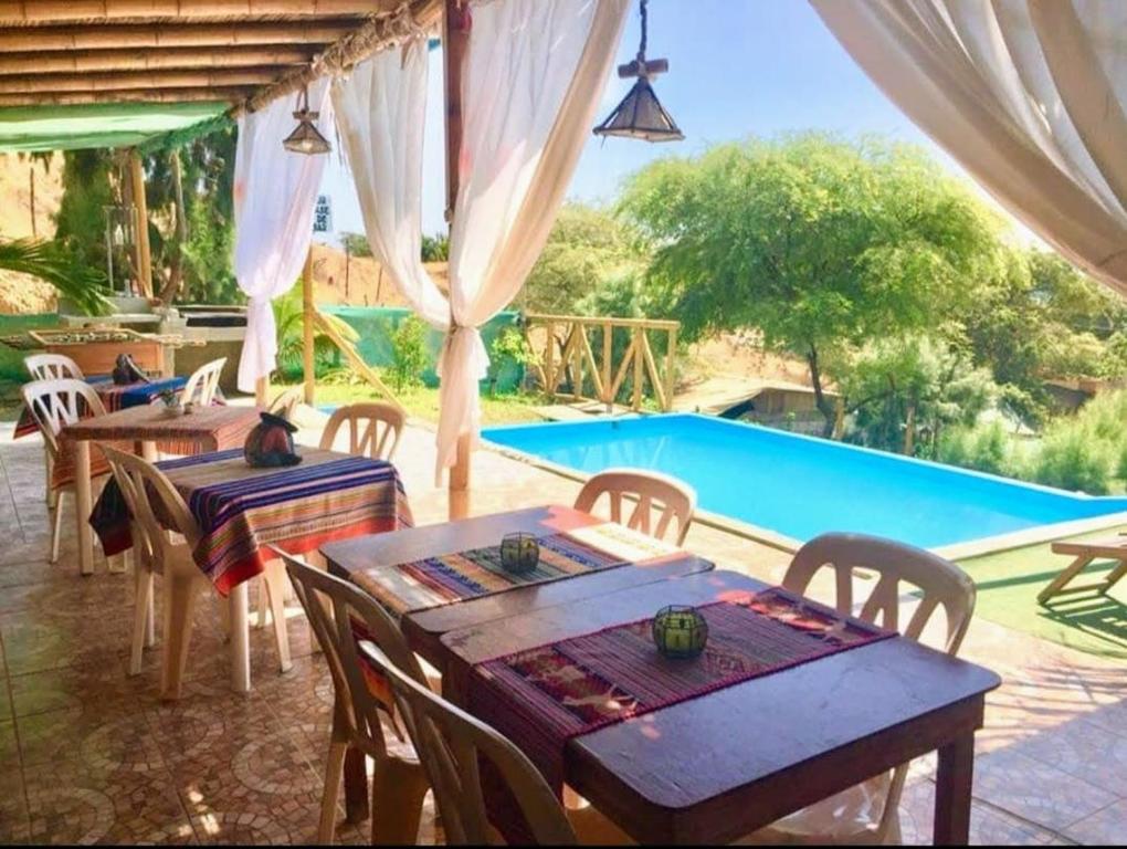 modern loft facing the sea - 5