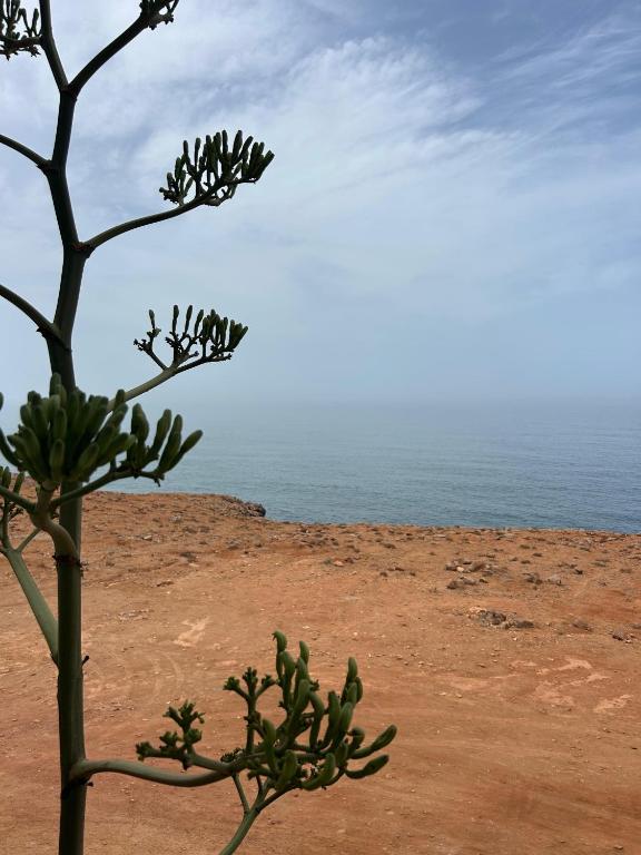 mirleft baech, Mirleft