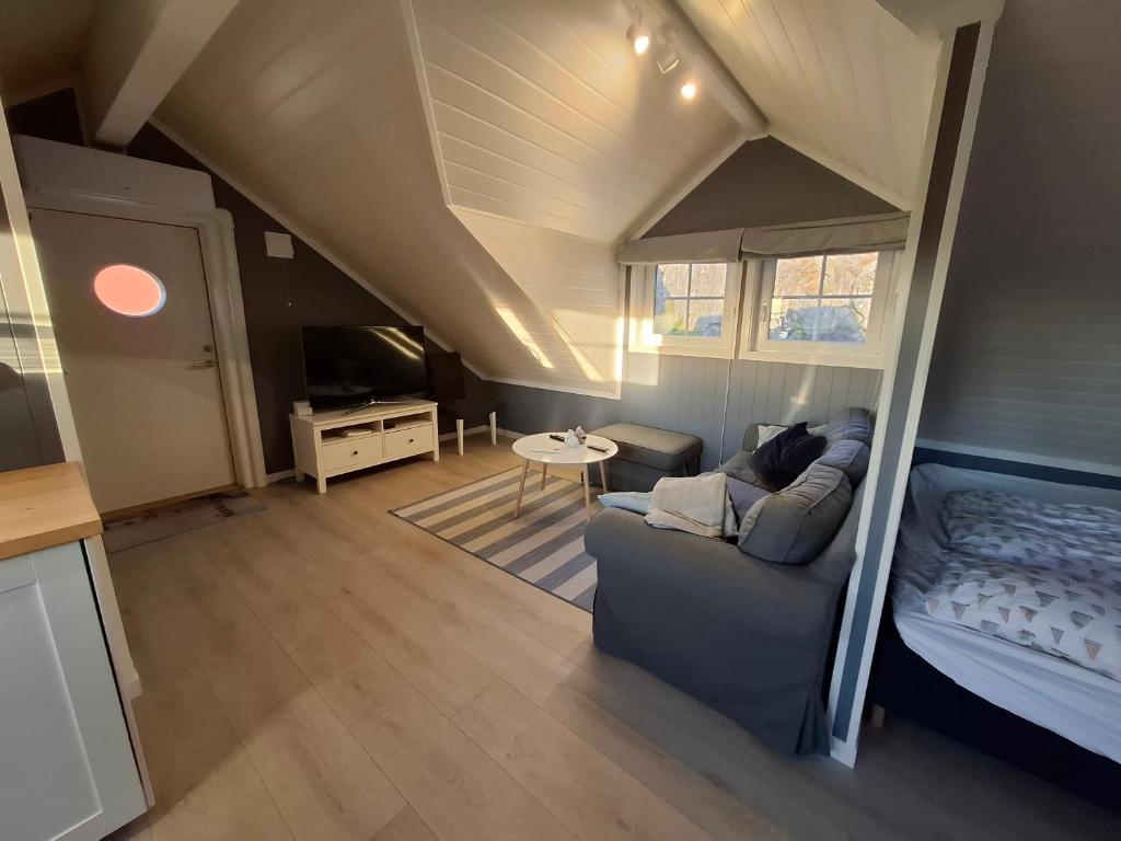 Charming studio apartment, Skarvedalen