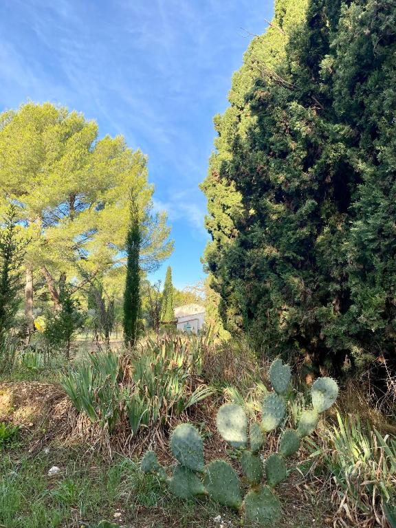 Mas de la Cadenière - 3
