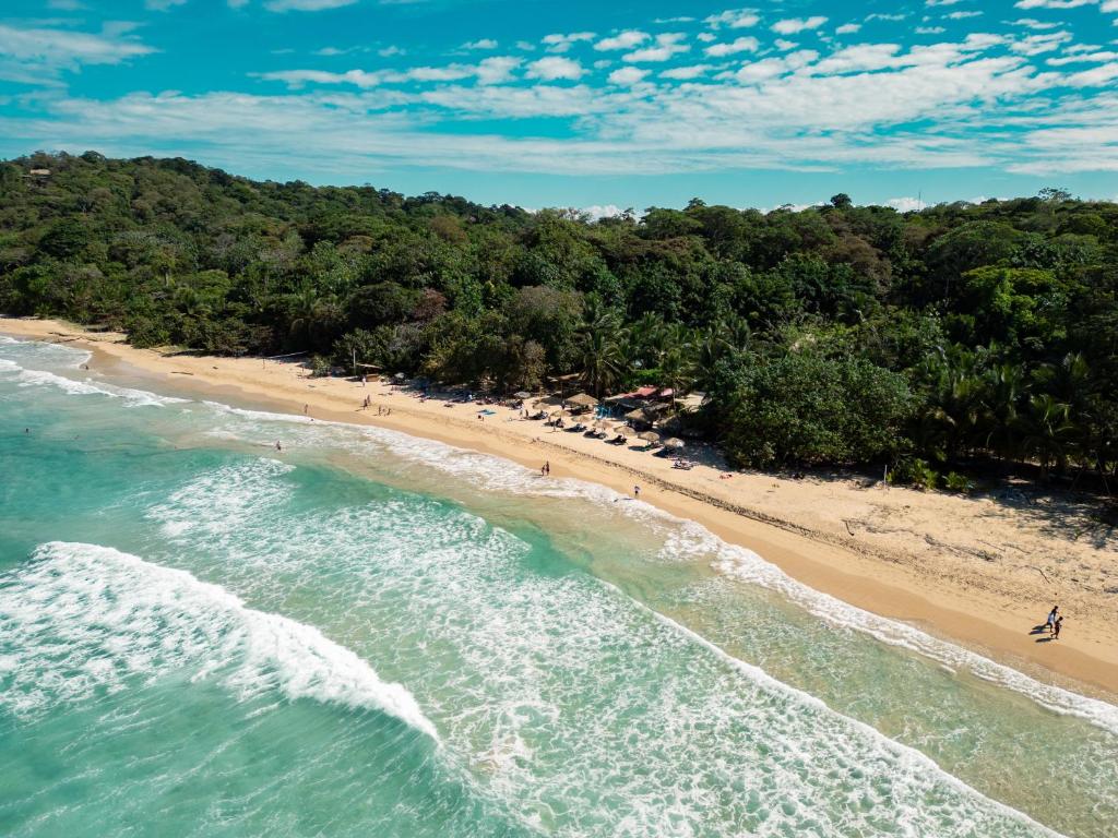 Palmar Beach Lodge, Bocas del Toro