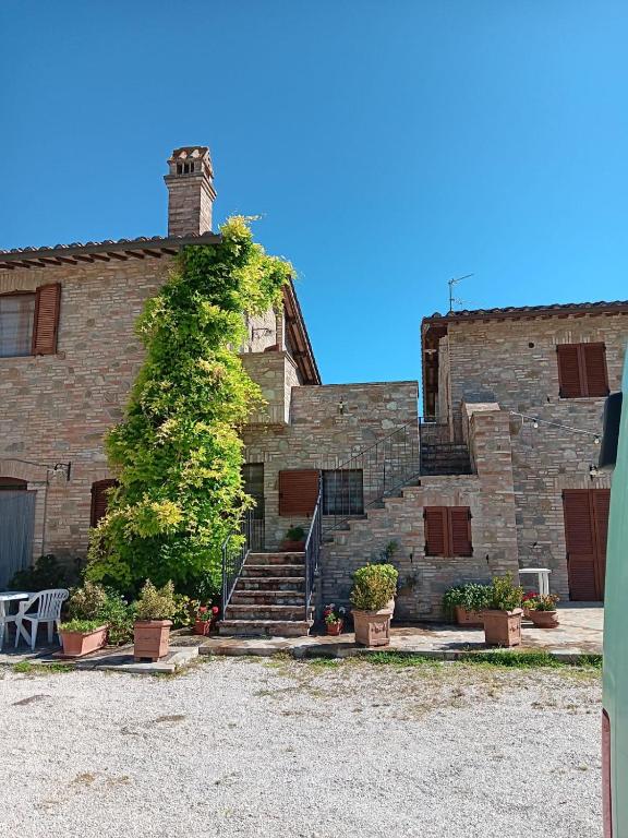 Agriturismo Bellarosa - 2