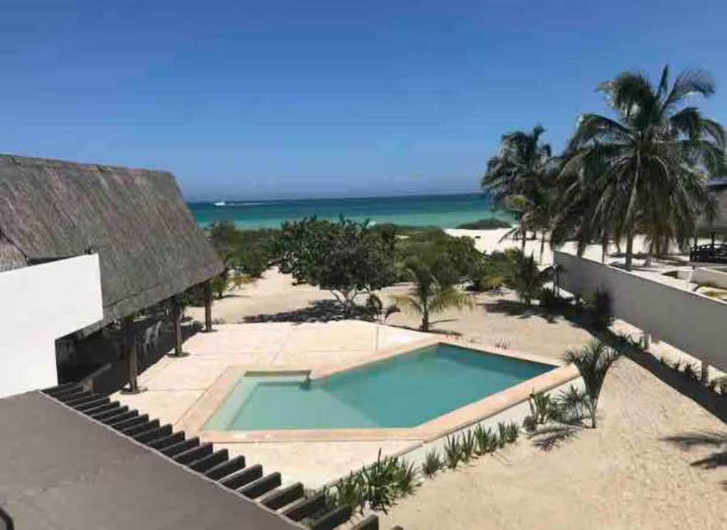 Casa Cocodrilo, Xtampú