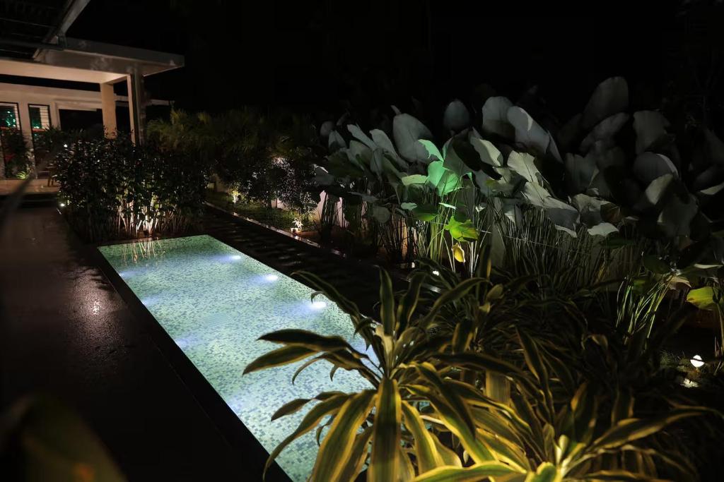 Mon Reve, Kóžikkót