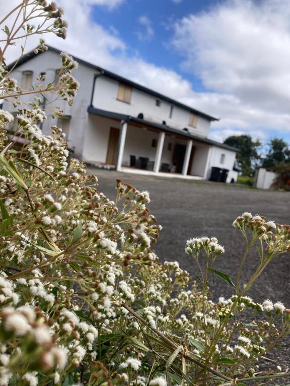 Gîte LEUCALYPTUS, Saint-Paul