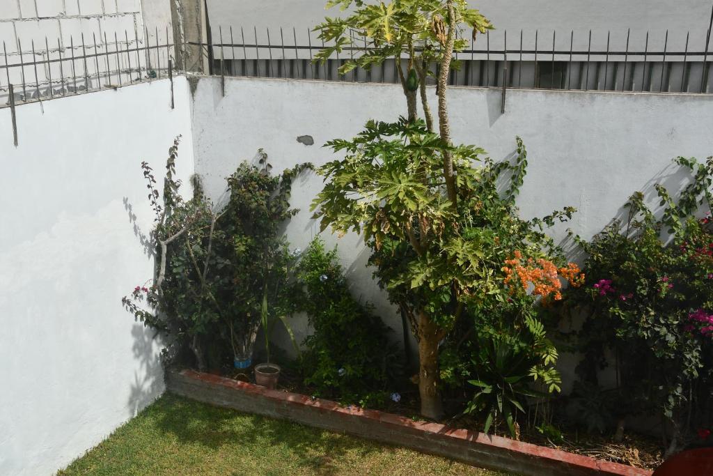 B&B Villamar Chorrillos - 4