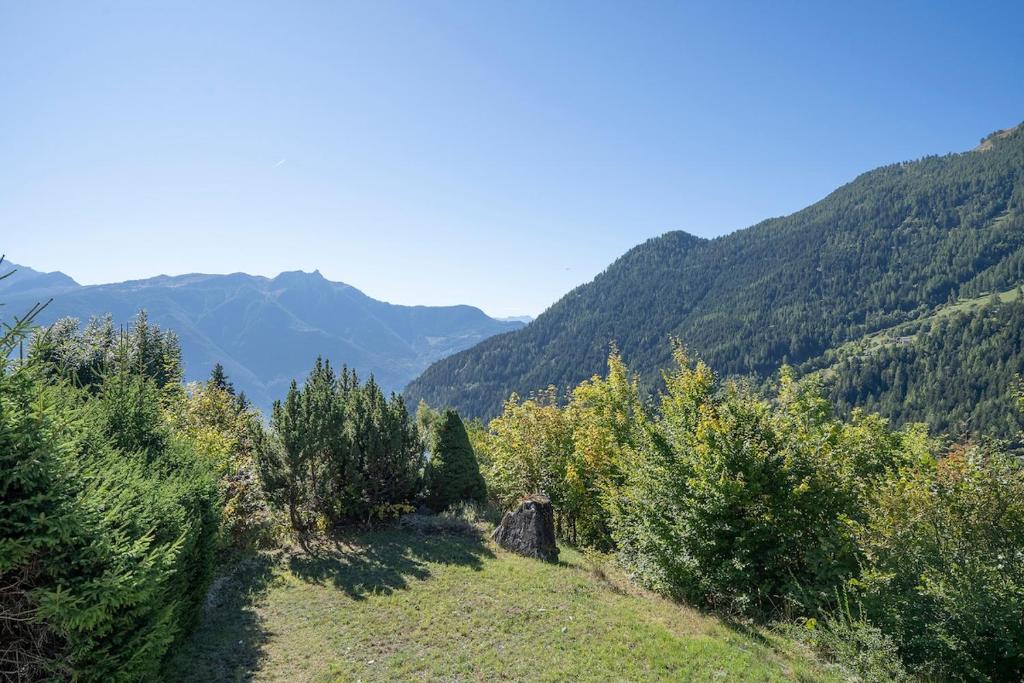 Chalet Panorama Ovronnaz 180 View 2BA 10 pax - 5