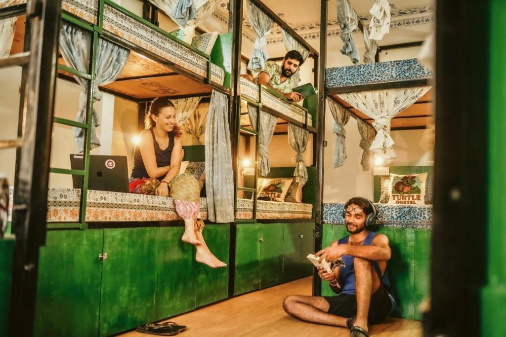 Turtle Hostel Udaipur- 50 mtr from Lake, Udajpur