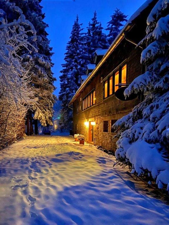 Essener Skihütte, Willingen