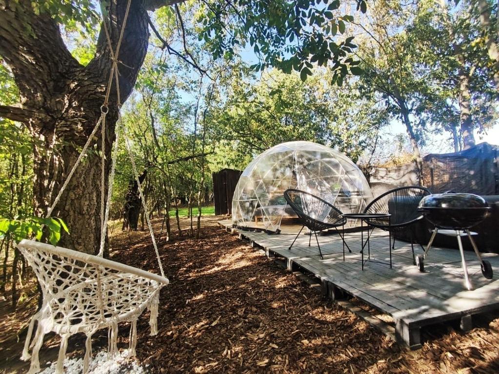 Forest Home Okoř, Okoř