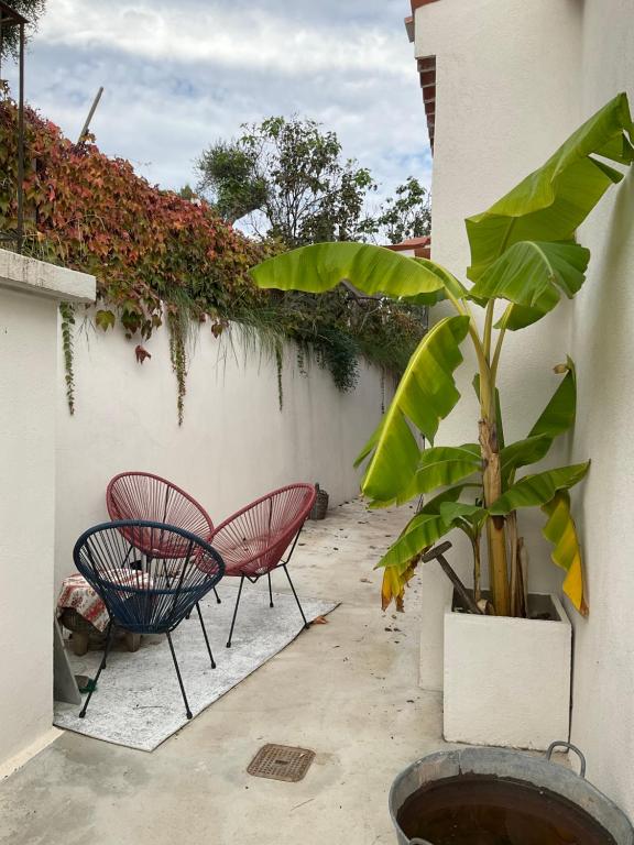 Maison avec vue mer et jacuzzi à 15 mn du centre - 2