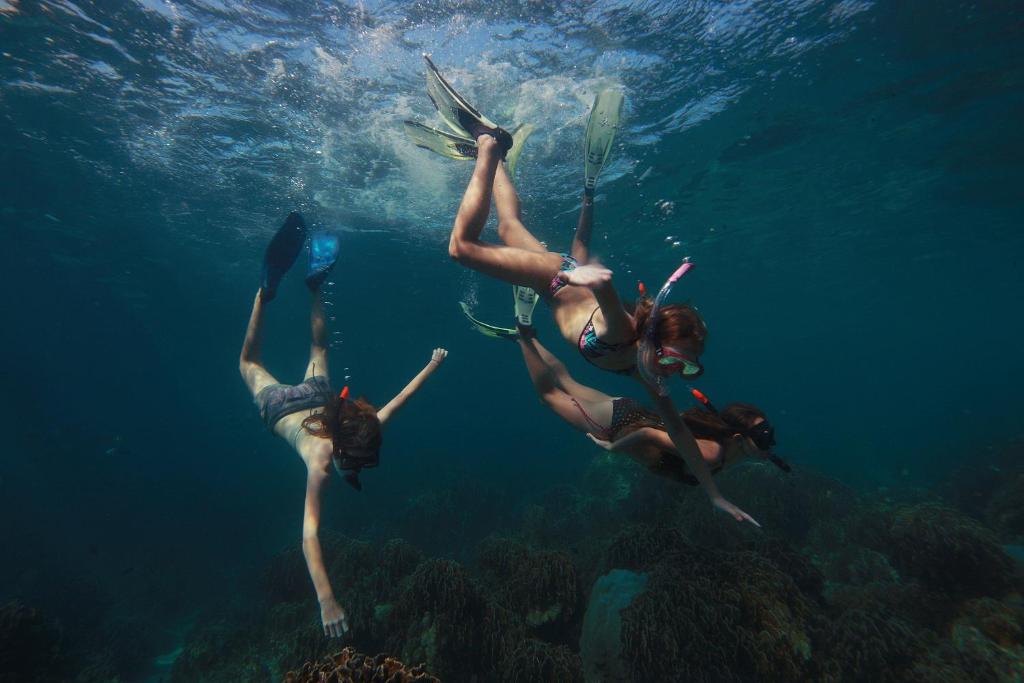 スポーツ/アクティビティ