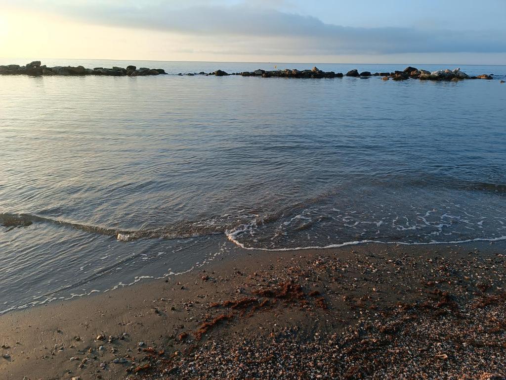 Oceanfront - 5