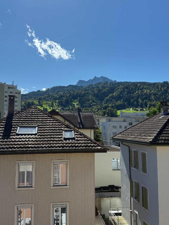 Mount Pilatus view Apartment Lucerne with free parking & WIFI, Lucern
