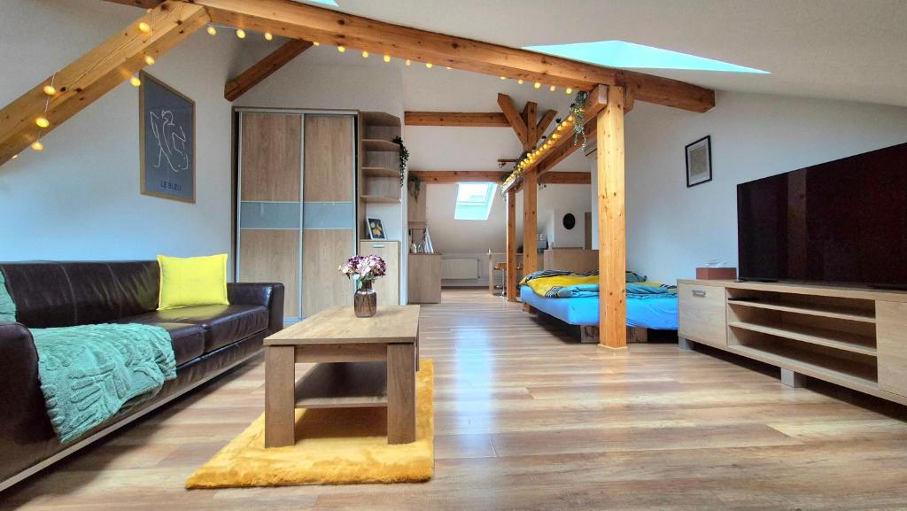 The Timonova Loft, Košice - Old Town, Košice