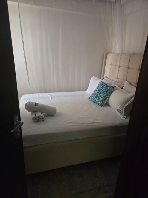 Hami Ventures, Kisumu