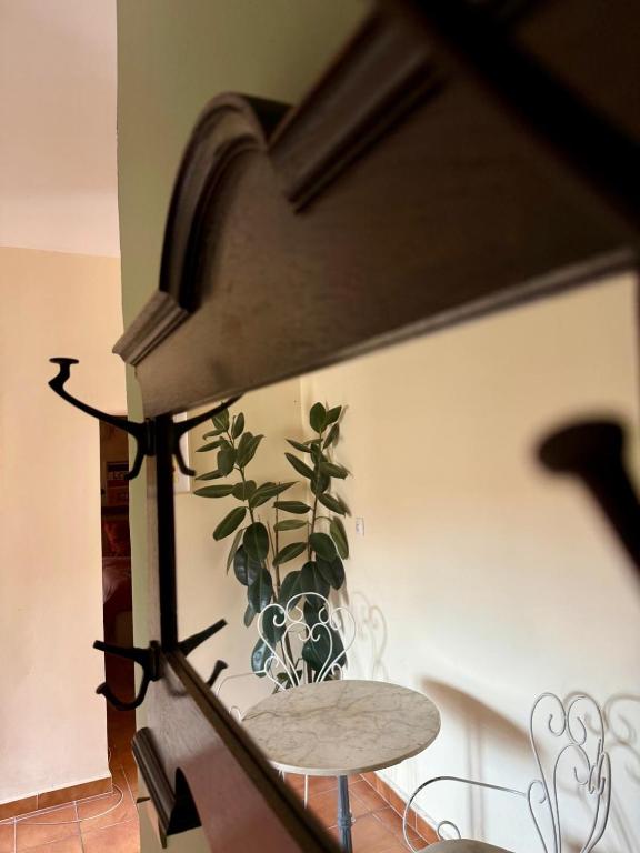 Casa Paloma - 2