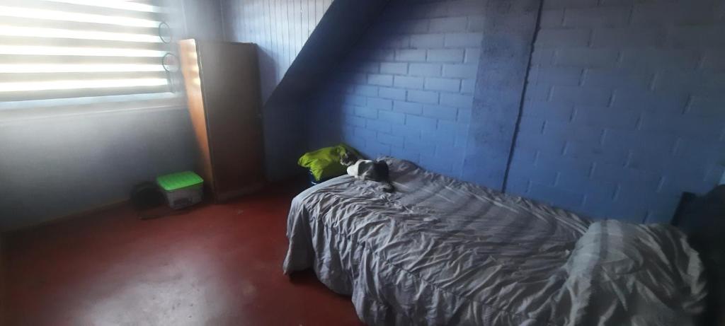 El refugio de Shisho - 1